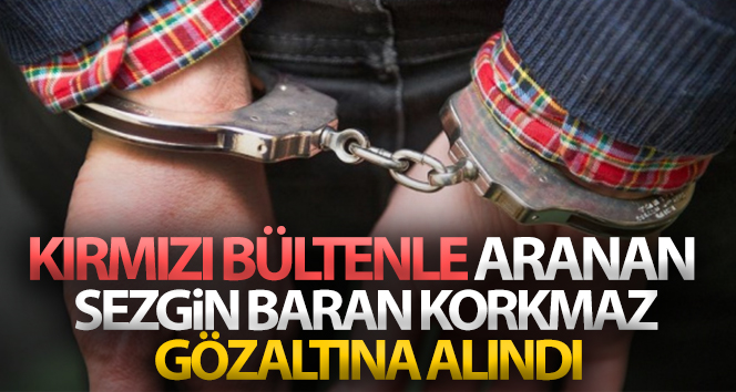 Sezgin Baran Korkmaz Avusturya’da gözaltına alındı