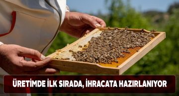 Dünyaca ünlü Sivas balında ihracat heyecanı