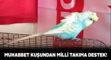 Sivaslı ‘Japon’dan A Millilere destek geldi