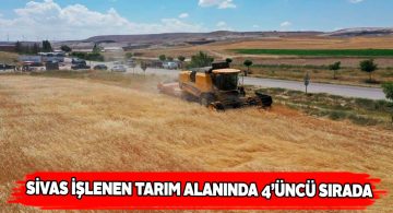 TÜİK’in tarım istatistiklerinde dikkat çeken detaylar