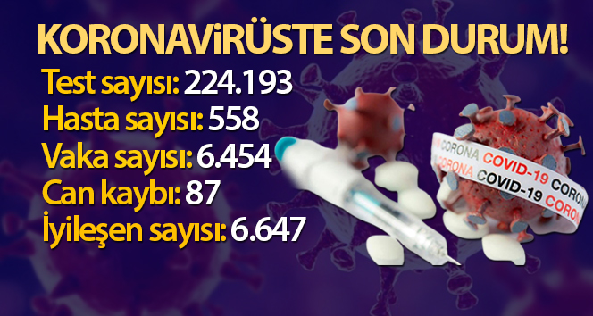 Türkiye’de son 24 saatte 6.454 koronavirüs vakası tespit edildi
