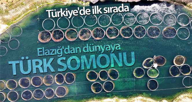 Türkiye’nin üretim merkezi Elazığ’dan dünyaya Türk Somonu