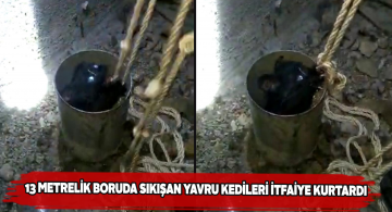 Yavru kedilerin imdadına itfaiye ekipleri yetişti