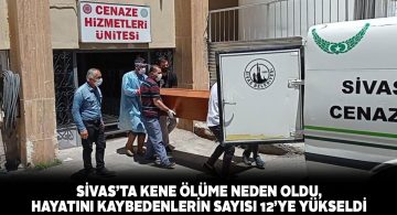 Sivas’ta keneden dolayı can kaybı 12’ye yükseldi