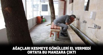 Abdesthanede bulunan iki ağacı kesmeyerek herkese örnek oldular