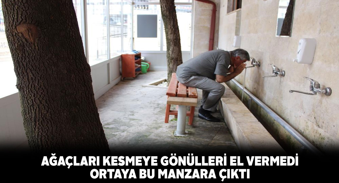 Abdesthanede bulunan iki ağacı kesmeyerek herkese örnek oldular