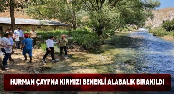 Alabalık yavruları Hurman Çayına salındı