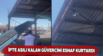 Ayağına ip dolanan güvercine Sivaslı esnaf yardım etti