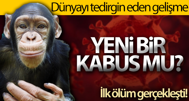 Çin, ‘Monkey B’ virüsünden ilk can kaybını bildirdi