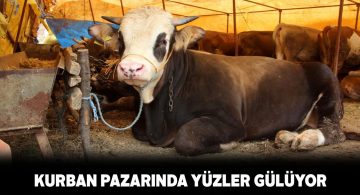 Kurban Bayramı’na sayılı günler kala hayvanların çoğu satıldı