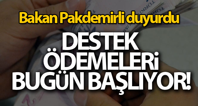 Destek ödemeleri bugün yatırılıyor!