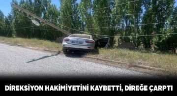 Yoldan çıkan araç elektrik direğine çarptı
