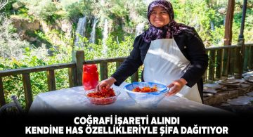 Gemerek Gilaburusu şifa dağıtmaya devam ediyor