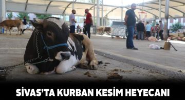 Sivas genelinde Kurban Bayramı heyecanı yaşanıyor