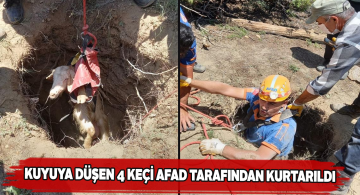 Keçiler kuyuya düştü AFAD ekipleri yardıma koştu