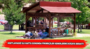 Kısıtlamalar bitti vatandaşlar pikniğe akın etti