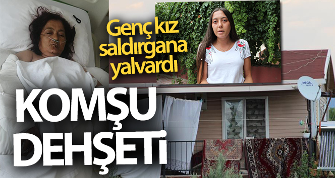 Öfkeli komşu tartıştığı komşusunun evine pompalıyla ateş etti, anne kolundan yaralandı, köpek katledildi