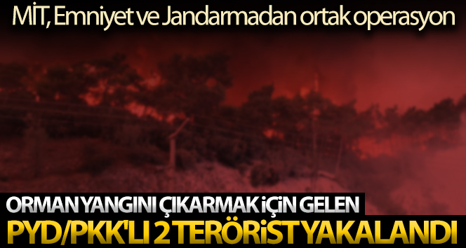 Orman yangını çıkarmak için gelen PYD/PKK’lı 2 terörist yakalandı