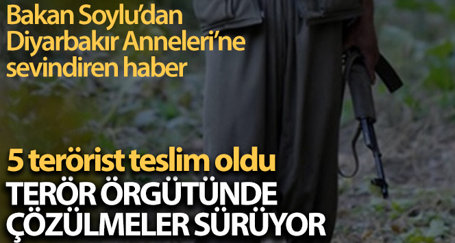 PKK’da çözülme devam ediyor: 5 örgüt mensubu teslim oldu