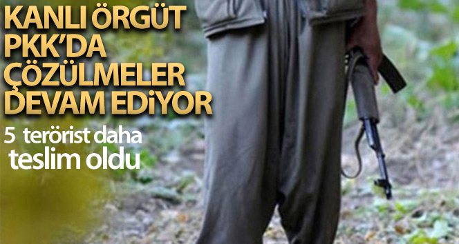 Terör örgütü PKK’da çözülme devam ediyor: 5 PKK’lı daha teslim oldu