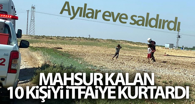 Arılar eve saldırdı: Mahsur kalan 10 kişiyi itfaiye kurtardı