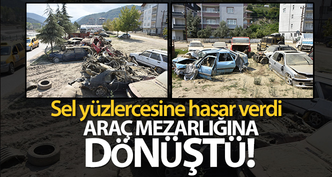 Ayancık’ta sel sonrası araba mezarlığı