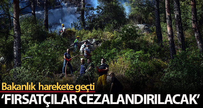 Bakan Muş, yangın söndürme cihazlarında fiyat artırımına giden fırsatçıların cezalandırılacağını duyurdu