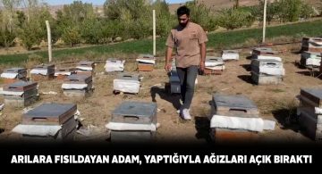 Binlerce arının içerisine koruyucu elbise olmadan giriyor