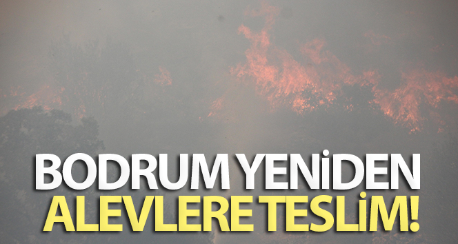 Bodrum yeniden alevlere teslim oldu