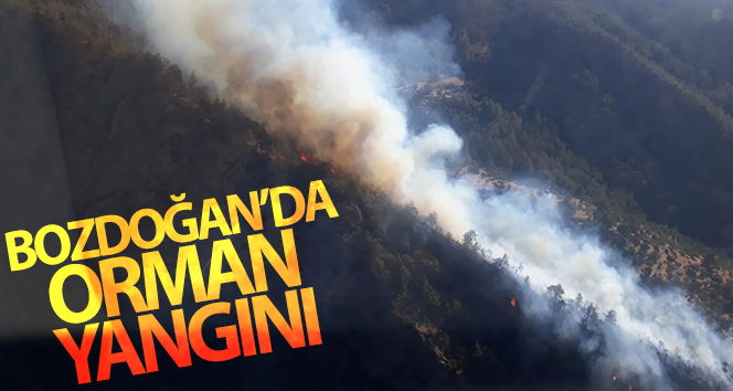 Bozdoğan’da orman yangını