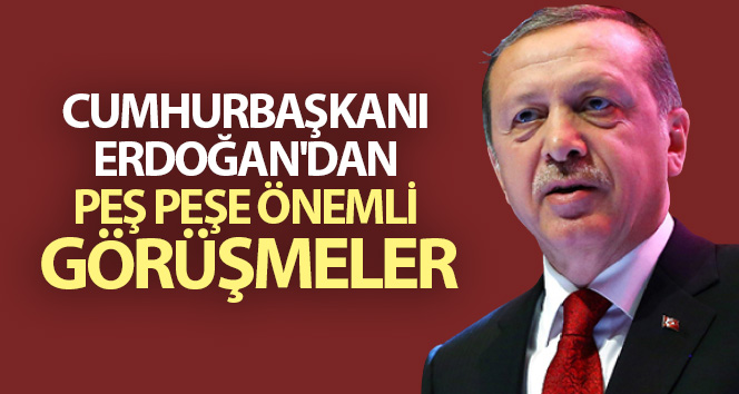 Cumhurbaşkanı Erdoğan’dan peş peşe görüşmeler