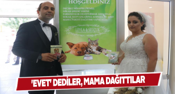 Davetlilere nikah şekeri yerine mama hediye ettiler