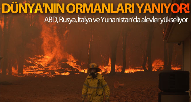 Dünya’nın ormanları yanıyor