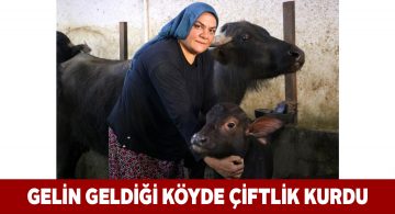 Eşinin hediye ettiği iki manda ile çiftlik sahibi oldu