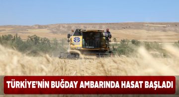 Vali Ayhan buğday hasadına katıldı