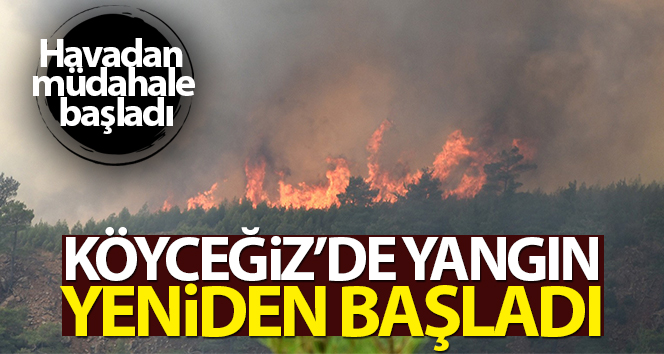 Köyceğiz’deki yangın yeniden başladı