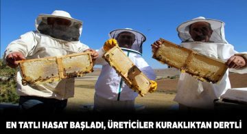 Küresel ısınma bal üreticilerini de vurdu