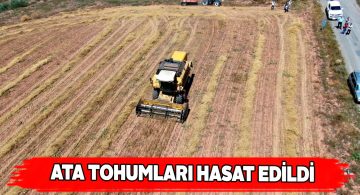 Zara ilçesindeki ata tohumları projesi ilk meyvelerini verdi