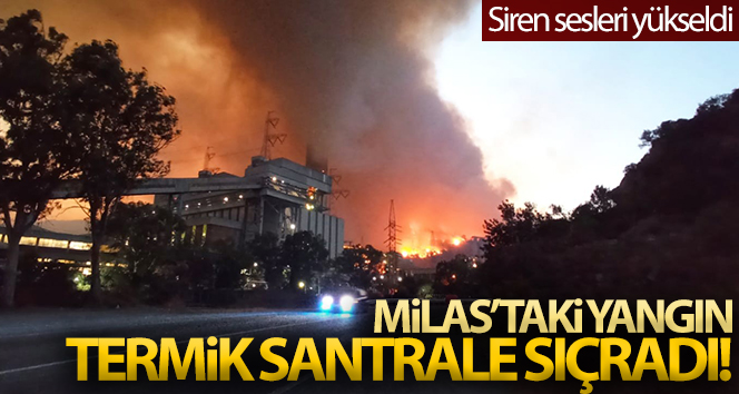 Milas’ta alevler termik santrale sıçradı