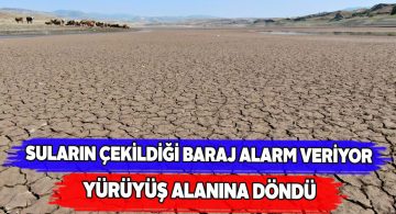 Kuraklık Kılıçkaya Barajı’nı kuruma noktasına getirdi