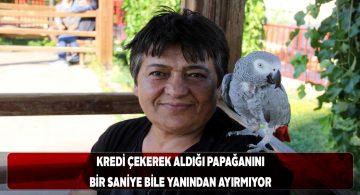 Papağanı kaybolduğunda kalp krizi geçirdi