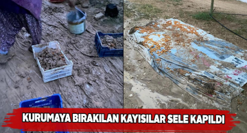 Gürün ilçesindeki sağanak yağış beraberinde sel getirdi