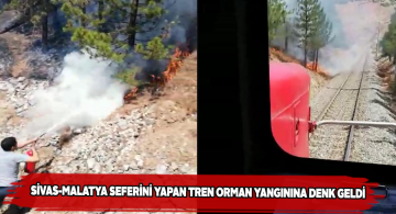 Bölgesel Sivas-Malatya treni makinistleri orman yangınını söndürdü