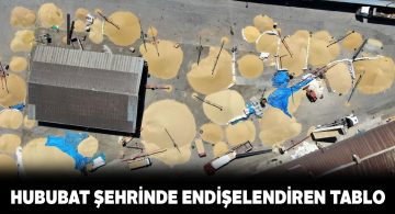 Sivas’ta rekolte düşüklüğü çiftçileri düşündürüyor