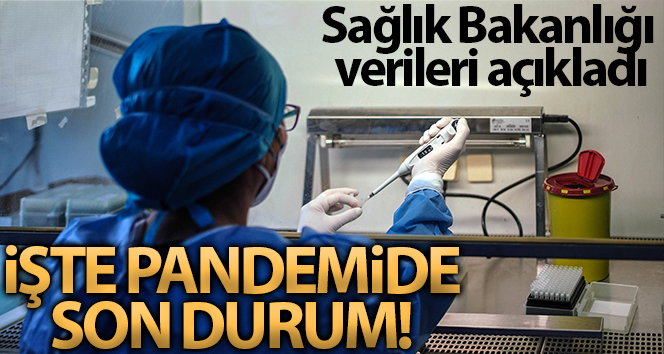 Son 24 saatte korona virüsten 165 kişi hayatını kaybetti