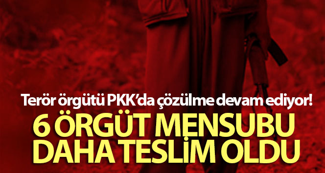 Terör örgütü PKK’da çözülme devam ediyor: 6 örgüt mensubu daha ikna yoluyla teslim oldu