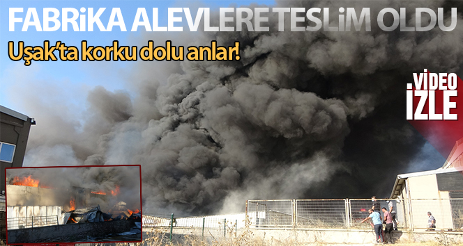Uşak’ta alevlere teslim olan fabrikada söndürme çalışmaları sürüyor