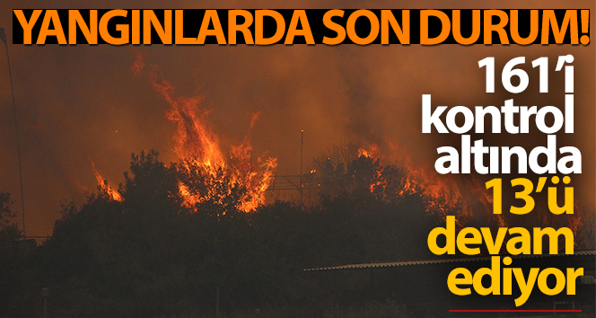 Yangınlarda son durum: 161’i kontrol altında, 13 yangın devam ediyor