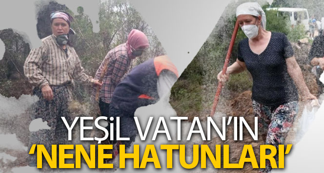 Yeşil Vatan’ın ‘Nene Hatunları’