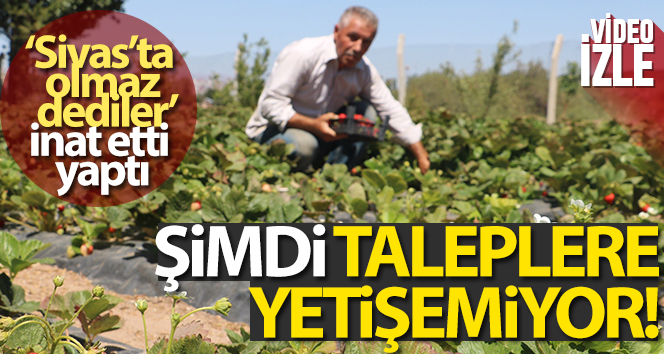 Yetiştiremezsin dediler, şimdi taleplere yetişemiyor